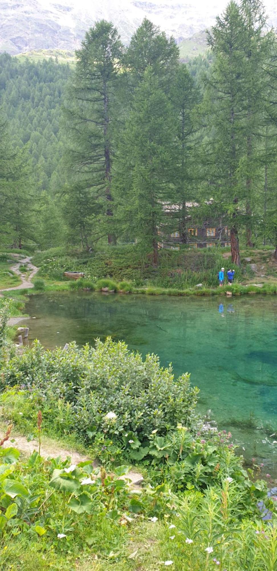 Profumo Di Legno A Cielo Alto La Coquille Διαμέρισμα Breuil-Cervinia Εξωτερικό φωτογραφία